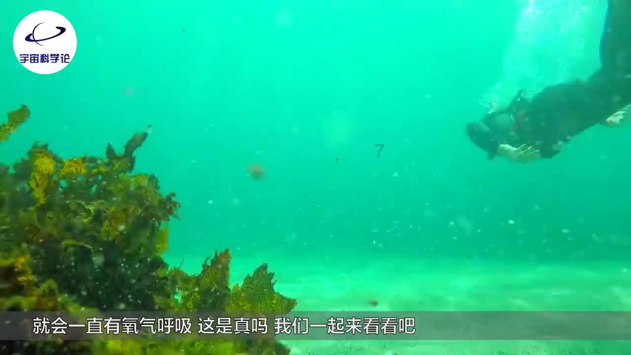 迷雾求生
